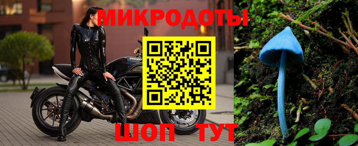 Псилоцибиновые грибы Cubensis  Вход с VPN  Аргун  Псилоцибиновые грибы мухоморы 